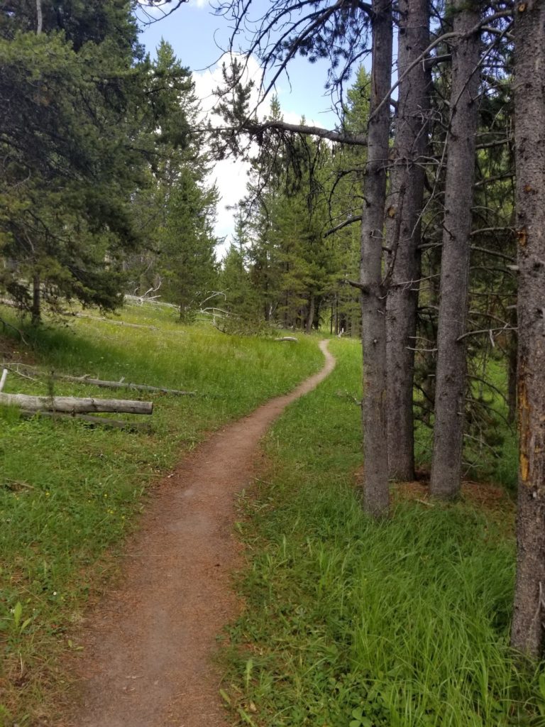 August 7 Hiking Trail